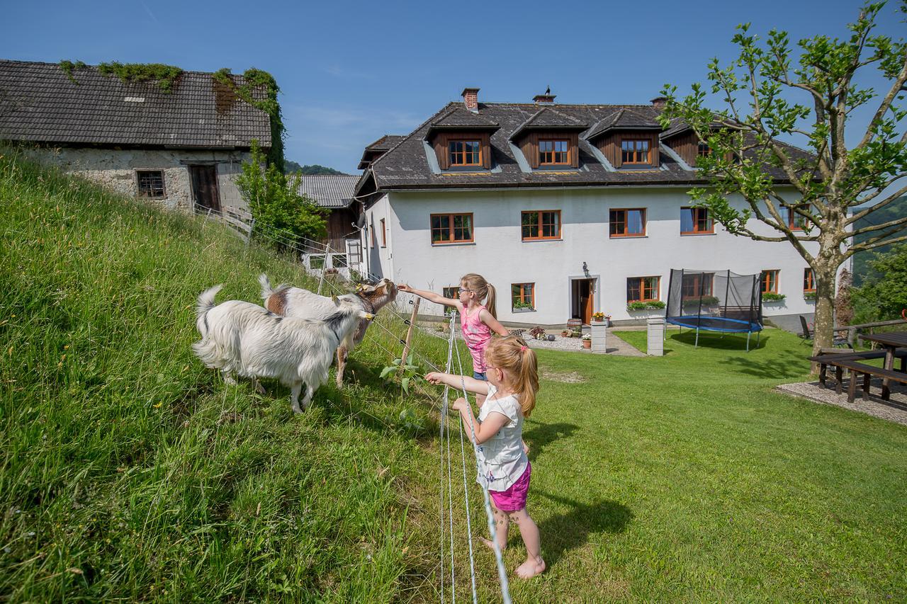 Kraeuterhof Miesrigl Villa Losenstein Luaran gambar